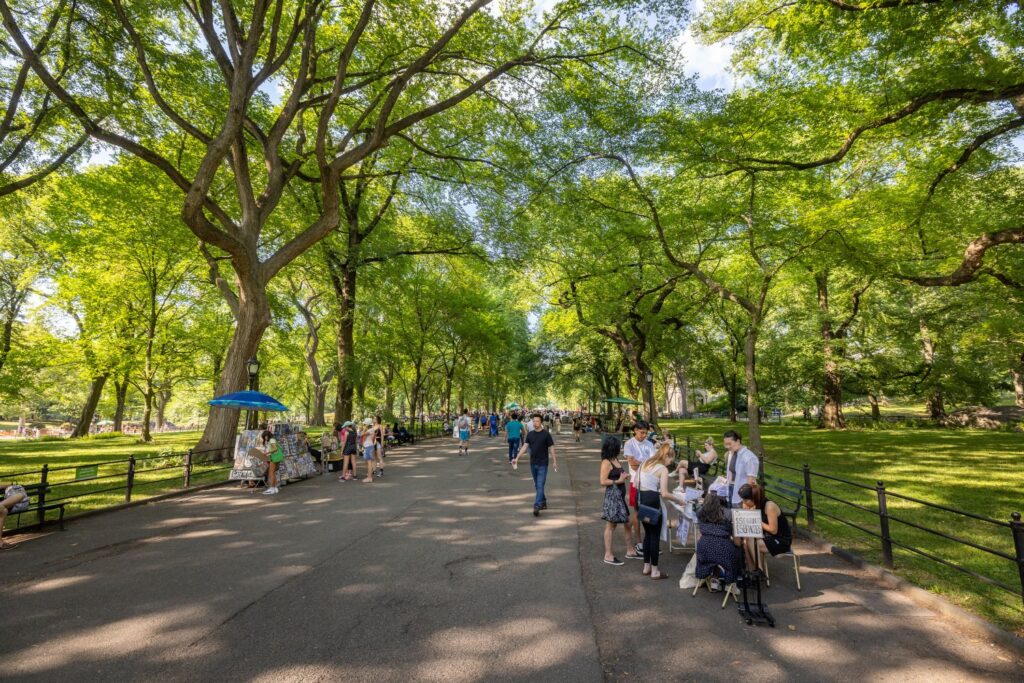 Wander through Central Park
