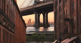 Dumbo Brooklyn Meaning - NYC's Unique Neighborhood