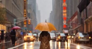 Wet Day Wonders: Things to Do in NYC in the Rain
